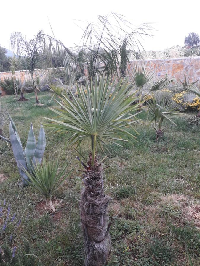 Palm Paradise Стобреч Екстер'єр фото